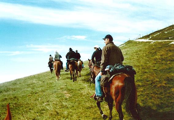 Escursioni a Cavallo